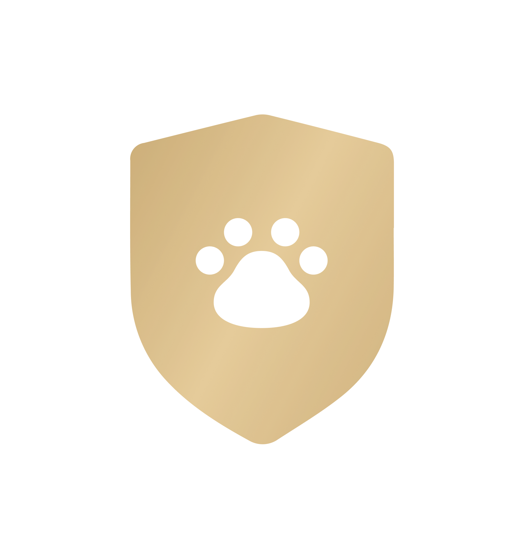 Pet_care-PDP-Standard-02.png